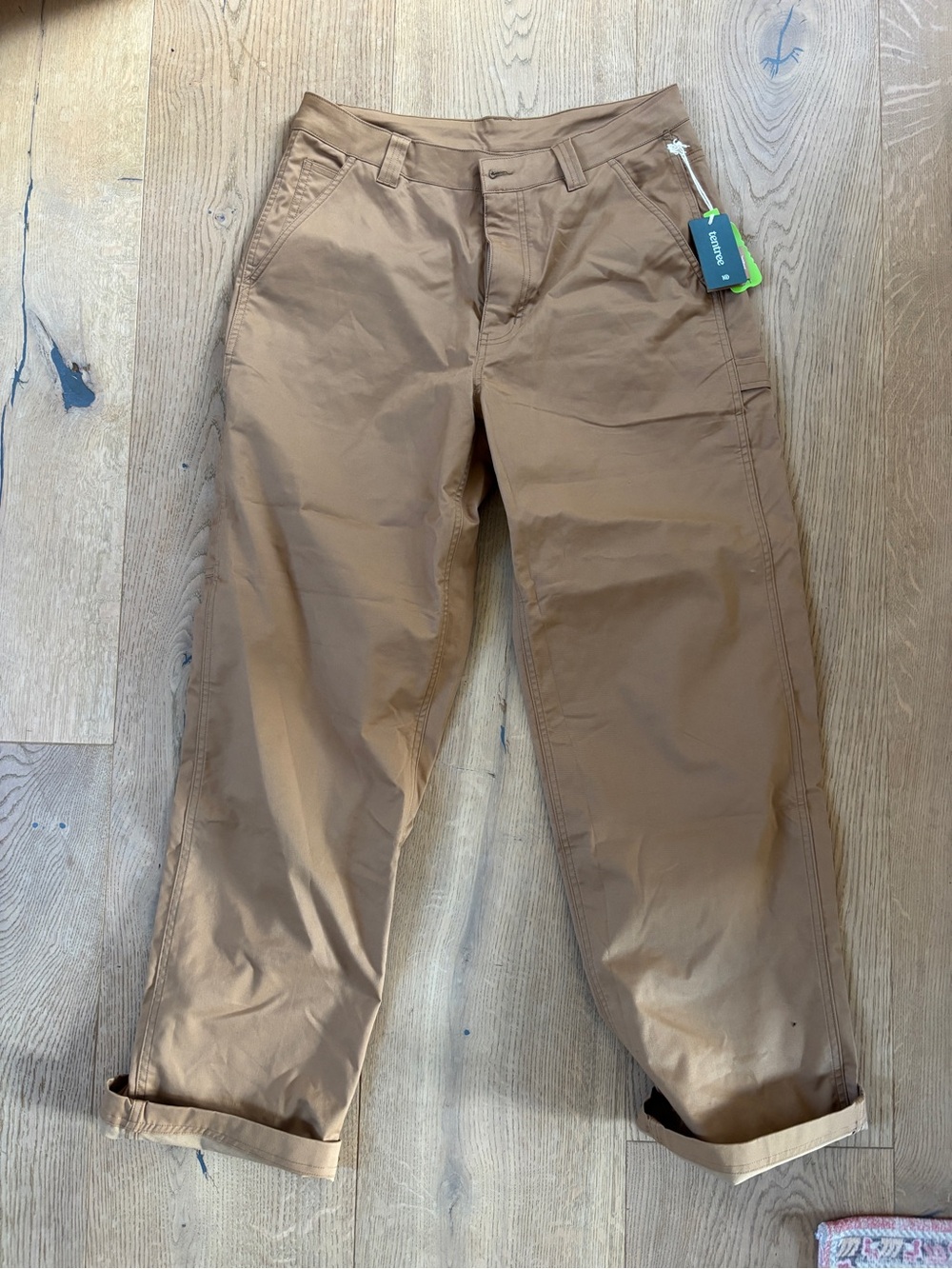 NWT tentree Techblend Tan Pants, 10